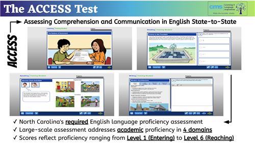 examples of ACCESS test